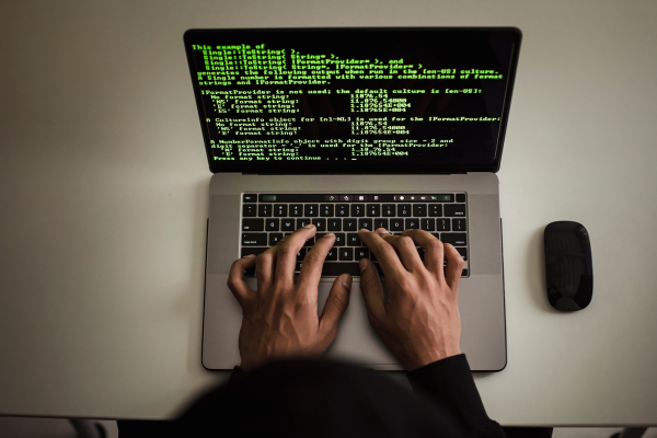 Mandi Software