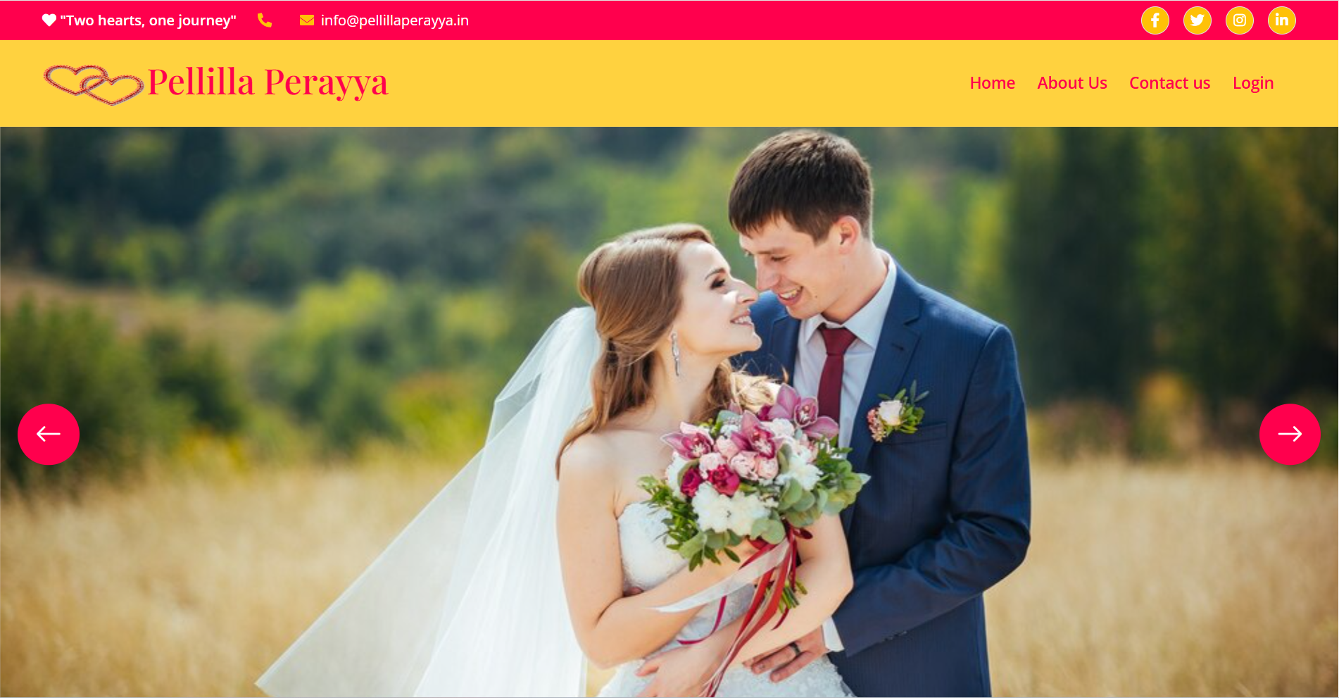 portfolio_images/website-images/pellillaperayya.png